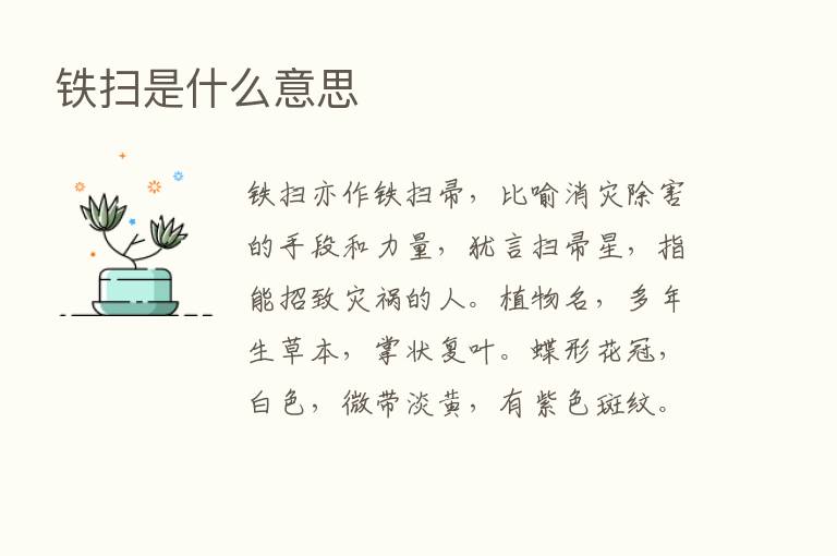 铁扫是什么意思