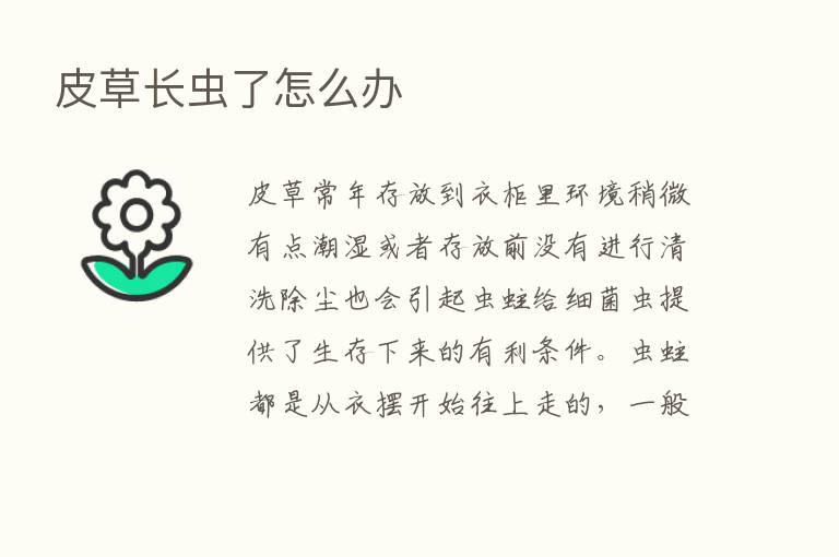 皮草长虫了怎么办