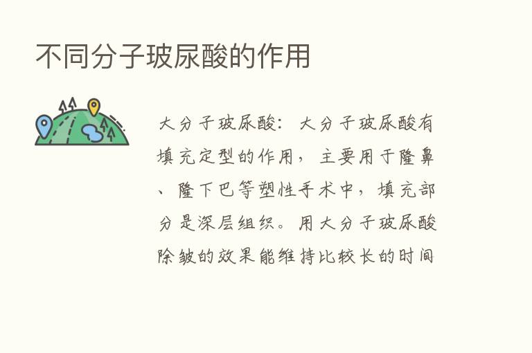 不同分子玻尿酸的作用