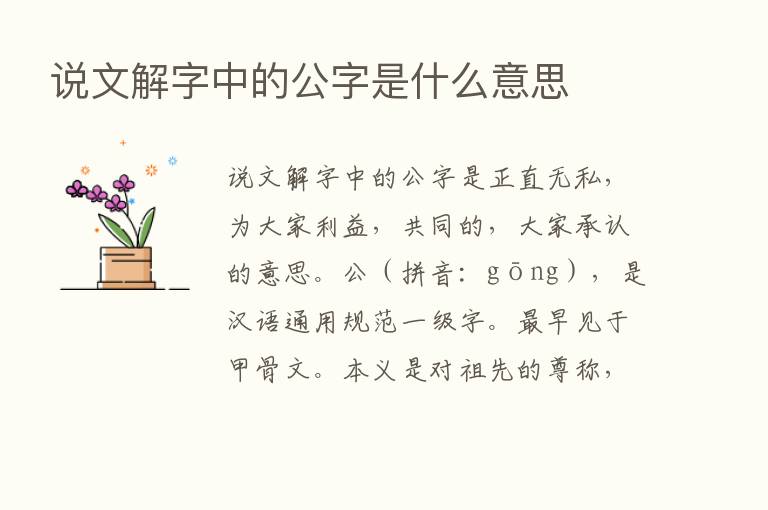 说文解字中的公字是什么意思