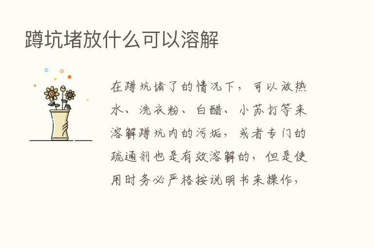 蹲坑堵放什么可以溶解