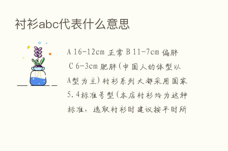 衬衫abc代表什么意思