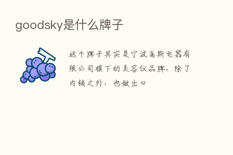 goodsky是什么牌子