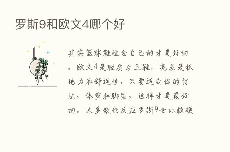 罗斯9和欧文4哪个好