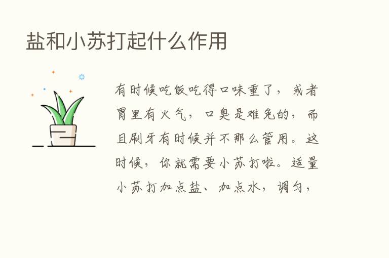 盐和小苏打起什么作用