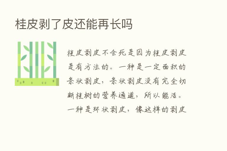 桂皮剥了皮还能再长吗