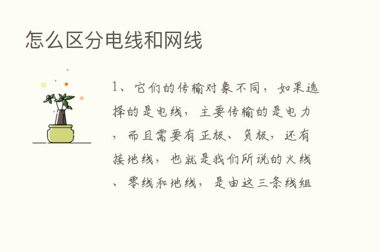 怎么区分电线和网线