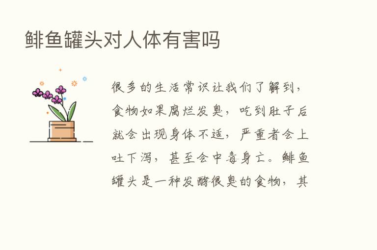 鲱鱼罐头对人体有害吗