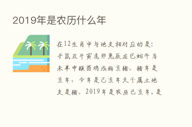 2019年是农历什么年