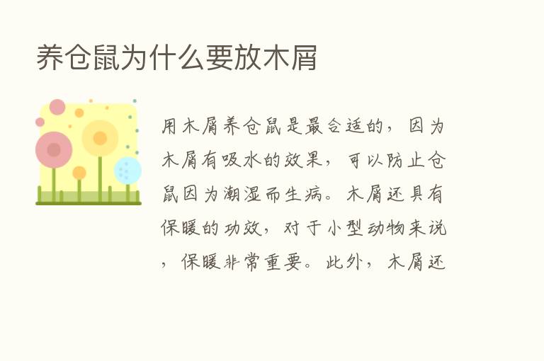 养仓鼠为什么要放木屑