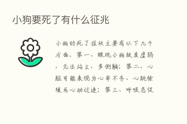 小狗要死了有什么征兆