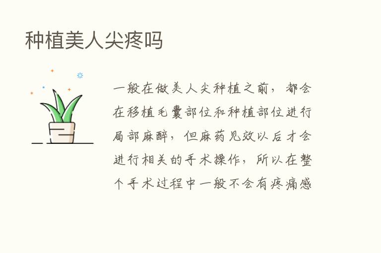 种植美人尖疼吗