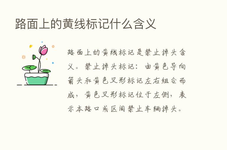 路面上的黄线标记什么含义