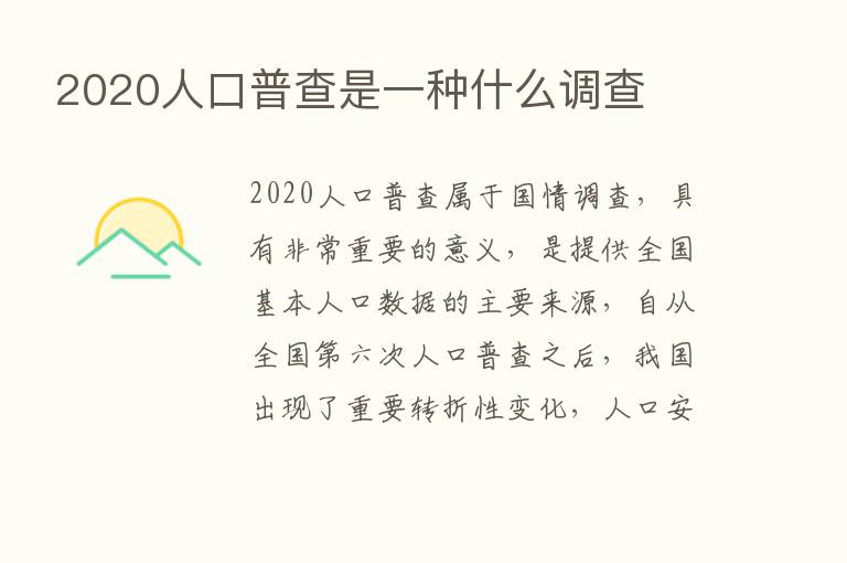 2020人口普查是一种什么调查