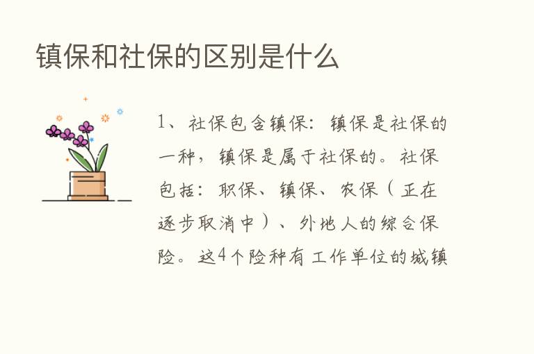 镇保和社保的区别是什么