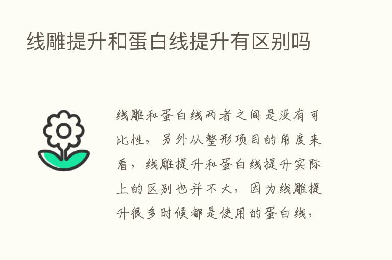 线雕提升和蛋白线提升有区别吗