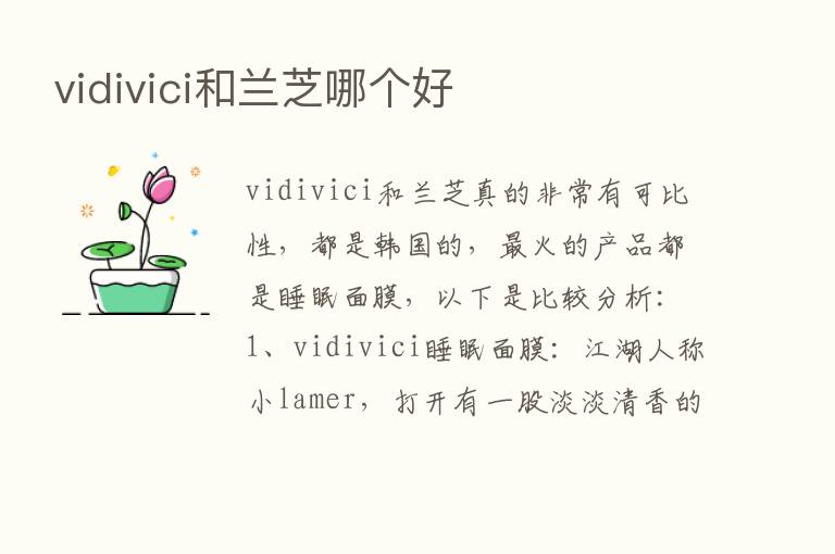 vidivici和兰芝哪个好