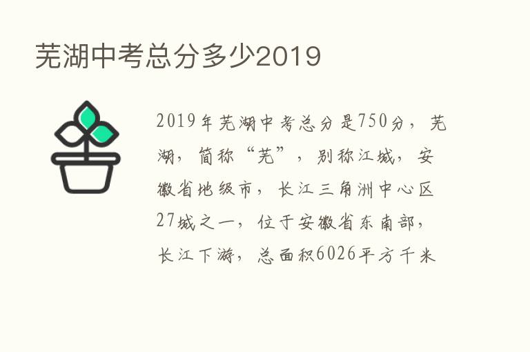 芜湖中考总分多少2019