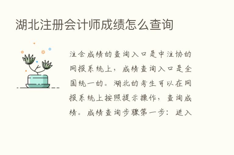 湖北注册会计师成绩怎么查询