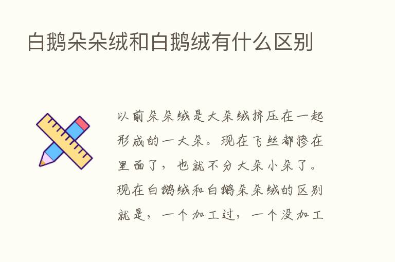 白鹅朵朵绒和白鹅绒有什么区别