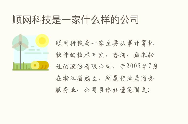 顺网科技是一家什么样的公司