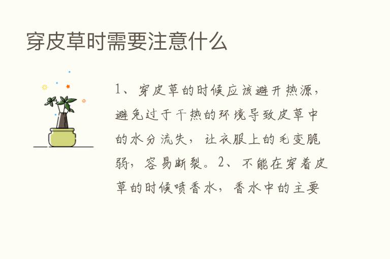 穿皮草时需要注意什么