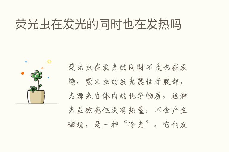 荧光虫在发光的同时也在发热吗