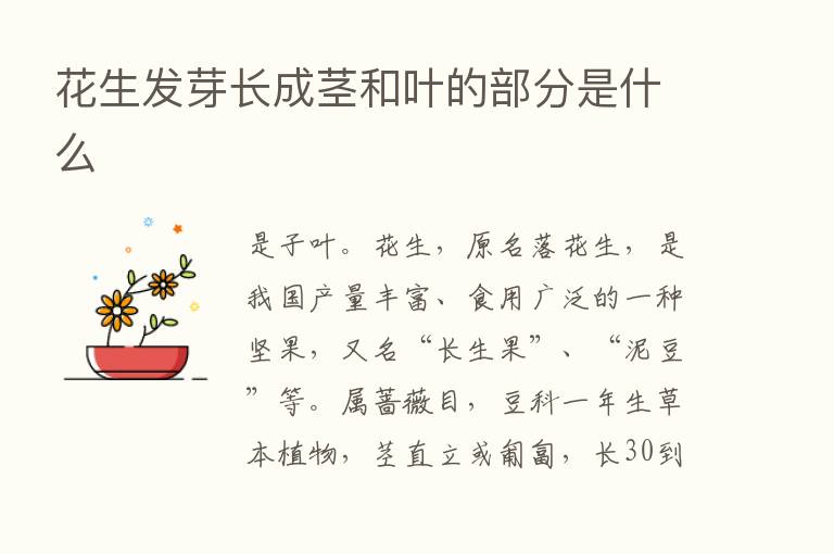 花      芽长成茎和叶的部分是什么