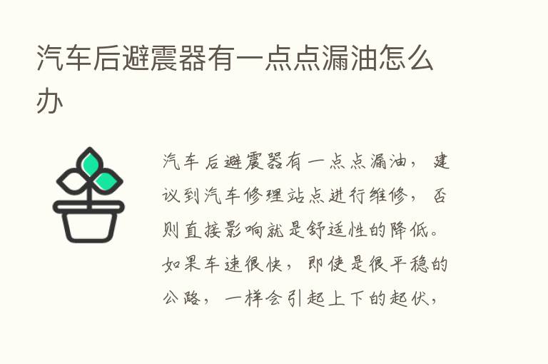 汽车后避震器有一点点漏油怎么办