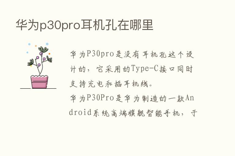 华为p30pro耳机孔在哪里