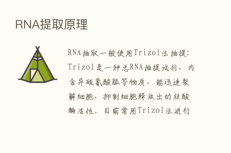 RNA提取原理