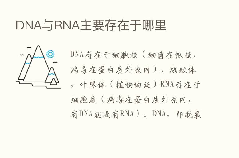 DNA与RNA主要存在于哪里