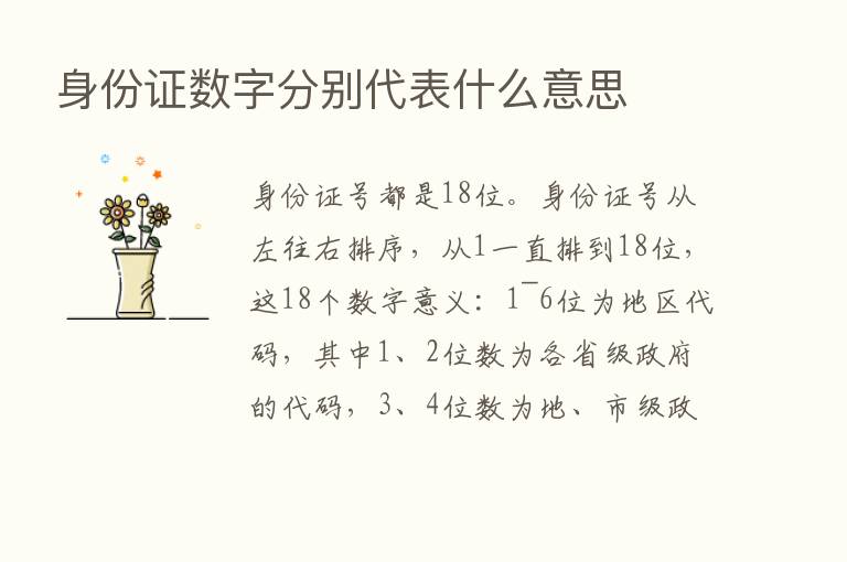 身份证数字分别代表什么意思