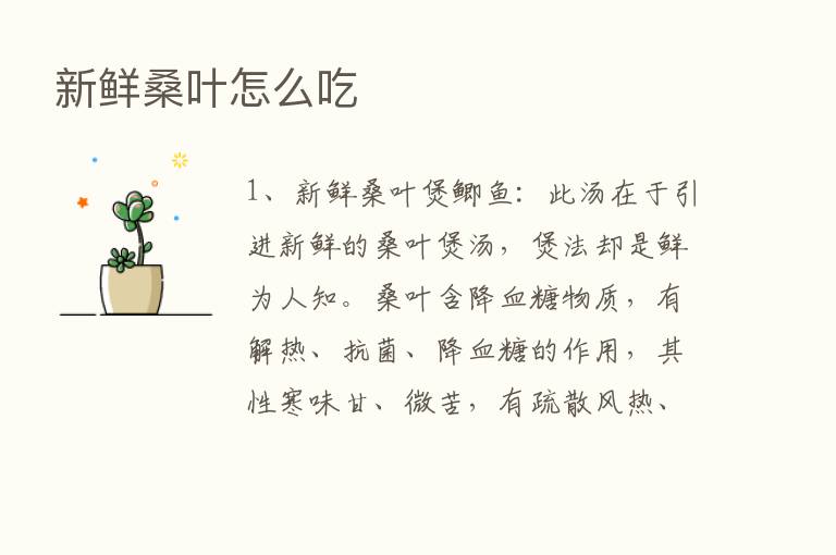 新鲜桑叶怎么吃