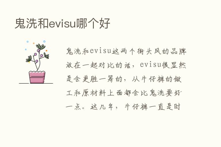 鬼洗和evisu哪个好