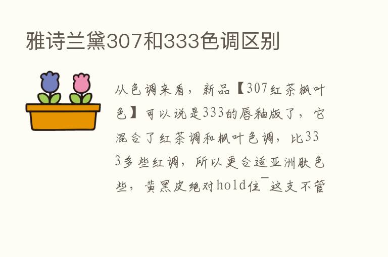 雅诗兰黛307和333色调区别