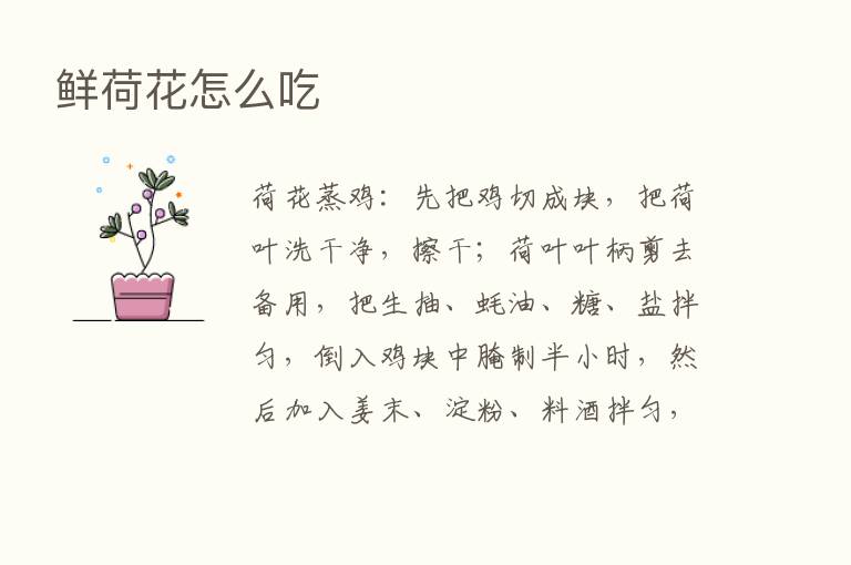 鲜荷花怎么吃