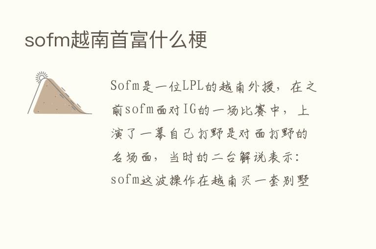 sofm越南首富什么梗