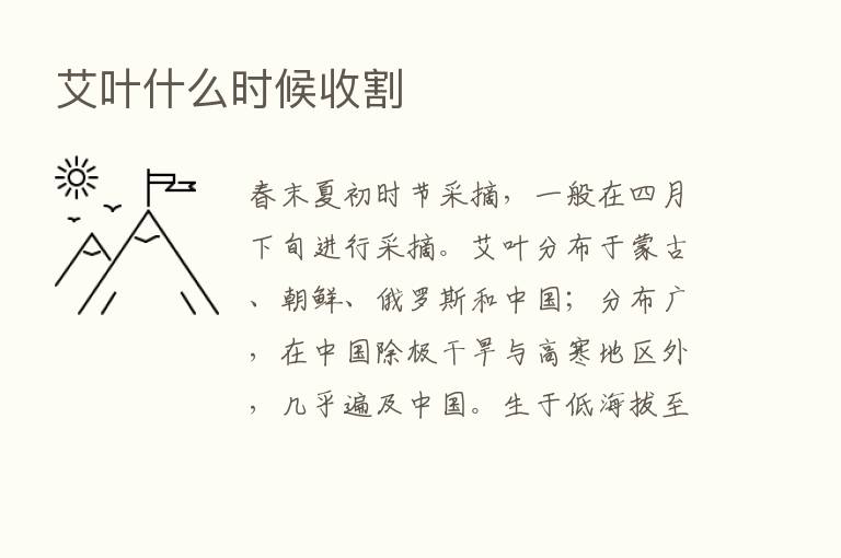 艾叶什么时候收割