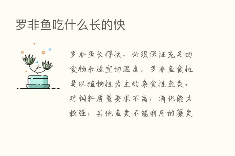 罗非鱼吃什么长的快