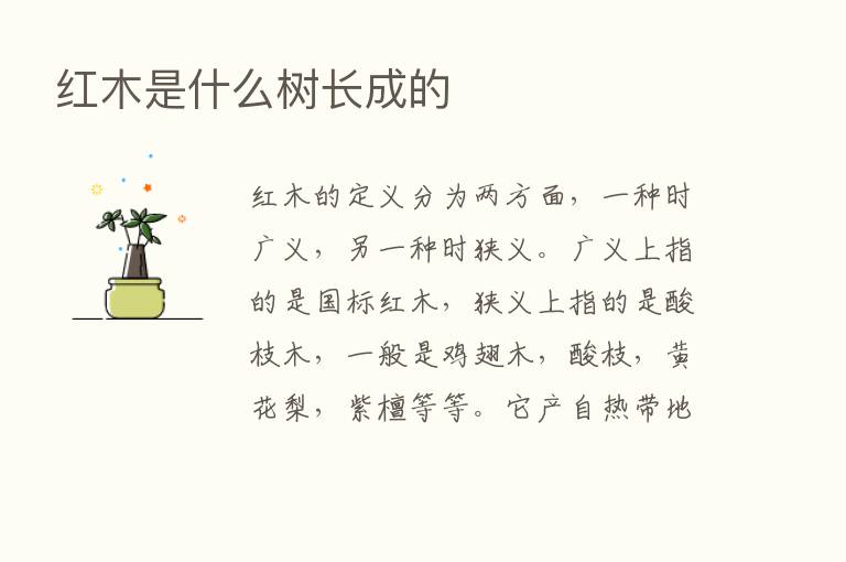 红木是什么树长成的