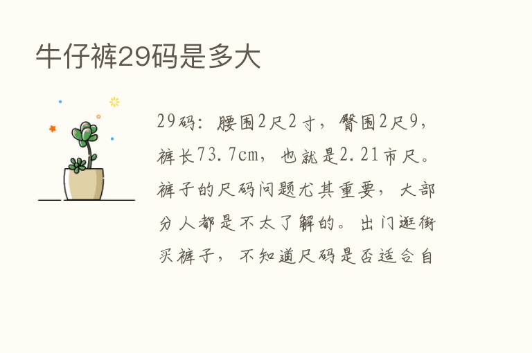 牛仔裤29码是多大