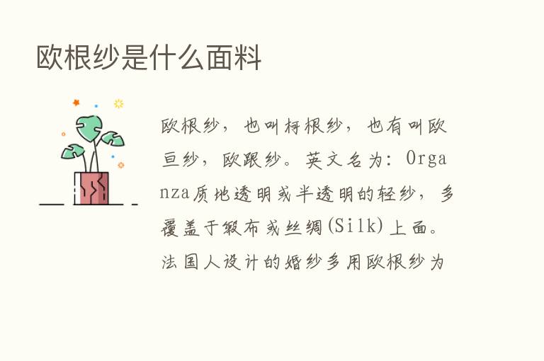 欧根纱是什么面料