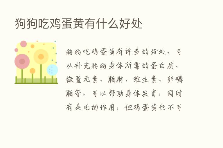 狗狗吃鸡蛋黄有什么好处