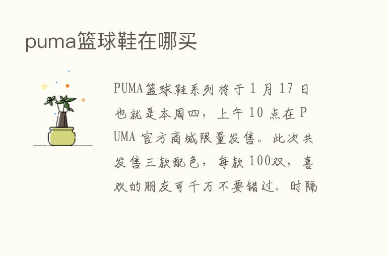 puma篮球鞋在哪买