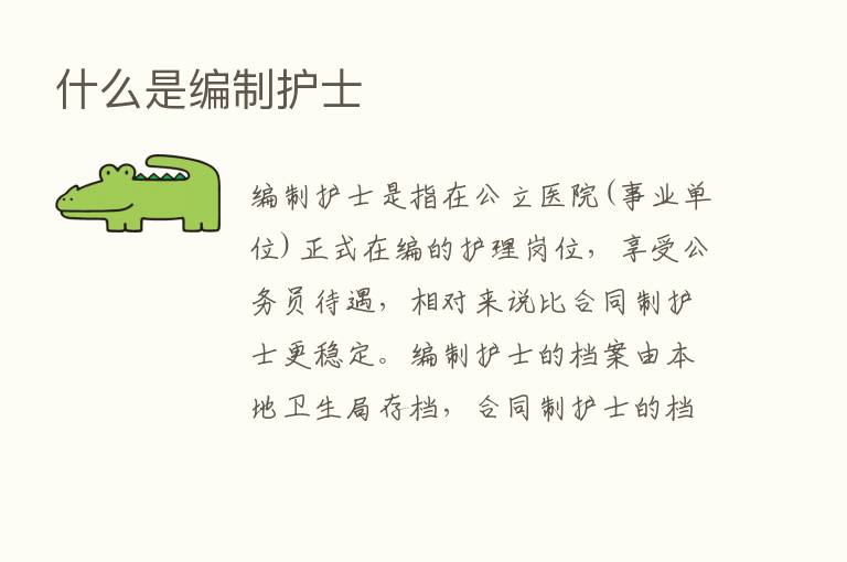 什么是编制护士