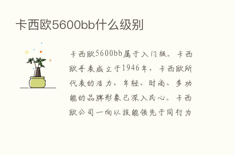 卡西欧5600bb什么级别