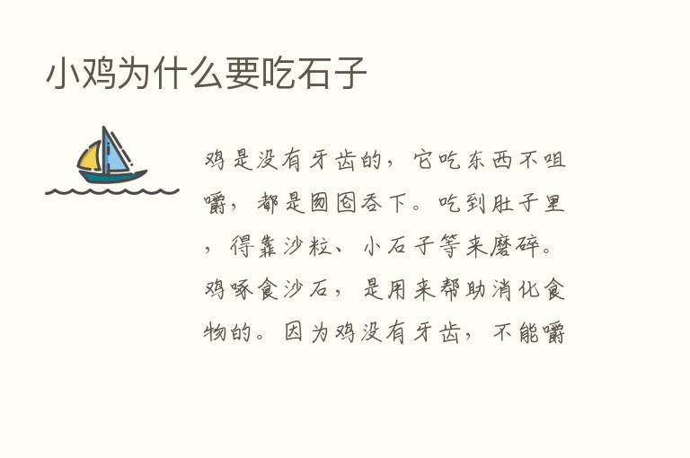 小鸡为什么要吃石子