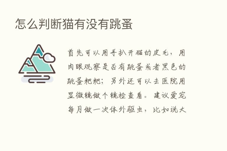 怎么判断猫有没有跳蚤