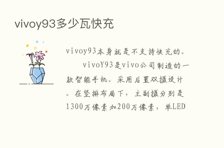 vivoy93多少瓦快充